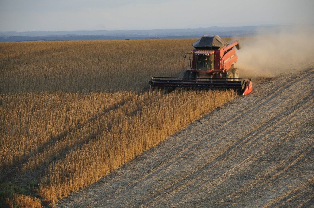 exportacoes-brasileiras-de-soja-para-a-china-batem-recorde-em-2024