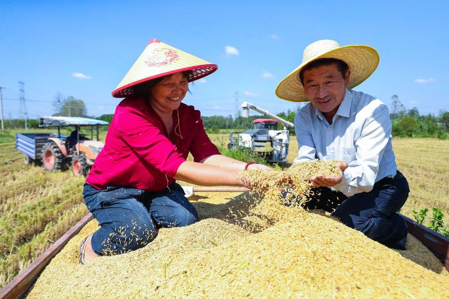 vice-primeiro-ministro-diz-que-a-china-esta-no-caminho-para-colheita-abundante-de-graos