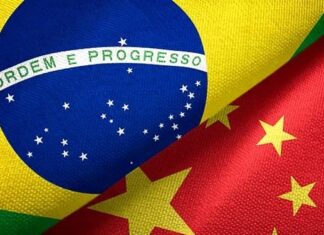 frutifera-cooperacao-agricola-china-brasil-de-50-anos-avanca-a-um-futuro-ainda-mais-promissor