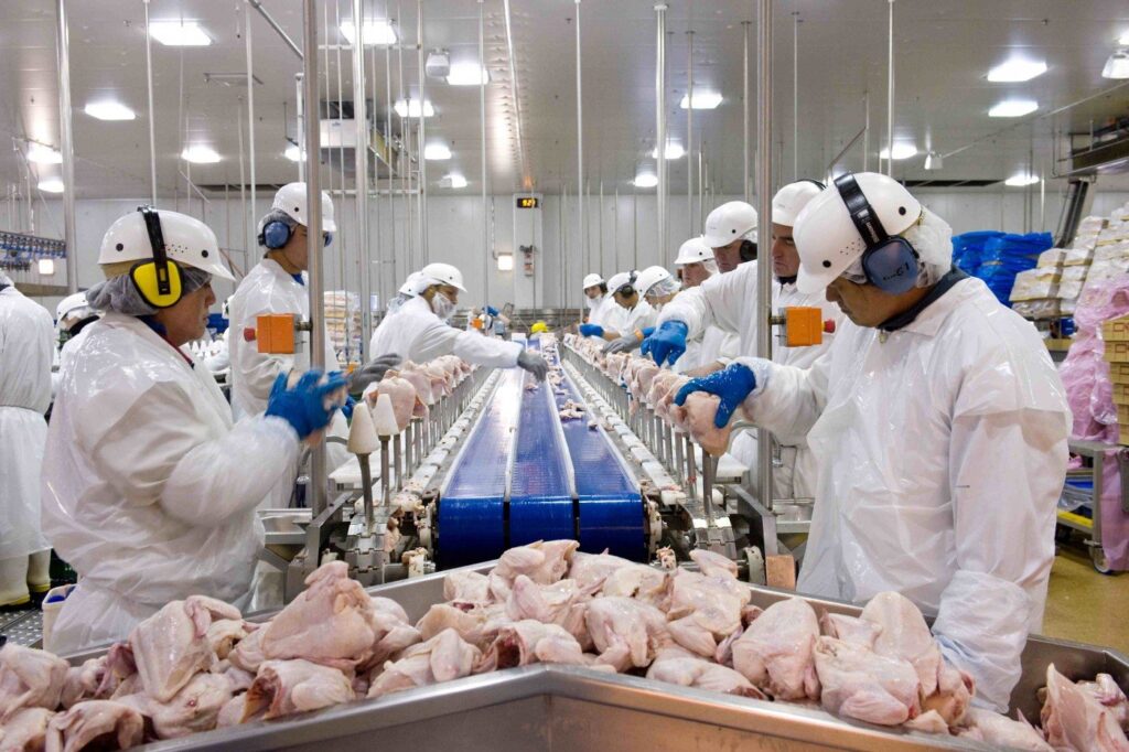 exportacoes-de-carne-de-frango-do-brasil-para-china-crescem-18,1%-em-fevereiro