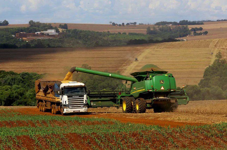 ibge-projeta-safra-recorde-em-2025,-com-crescimento-de-10%-impulsionado-por-soja-e-algodao