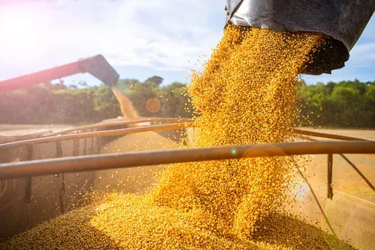 exportacao-de-soja-do-brasil-para-china-deve-ser-recorde-no-1o-trimestre