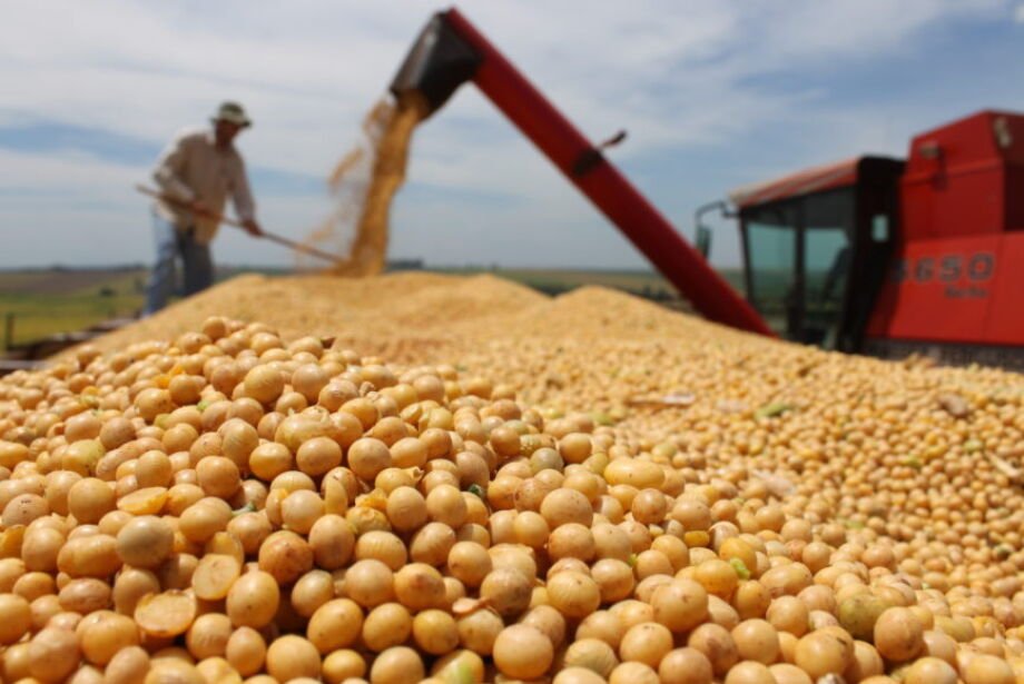 empresas-chinesas-avaliam-novos-investimentos-no-setor-do-agronegocio-do-brasil
