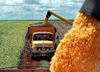 China amplia compras de soja do Brasil em 15% e reforça virada no mercado china-amplia-compras-de-soja-do-brasil-em-15%-e-reforca-virada-no-mercado