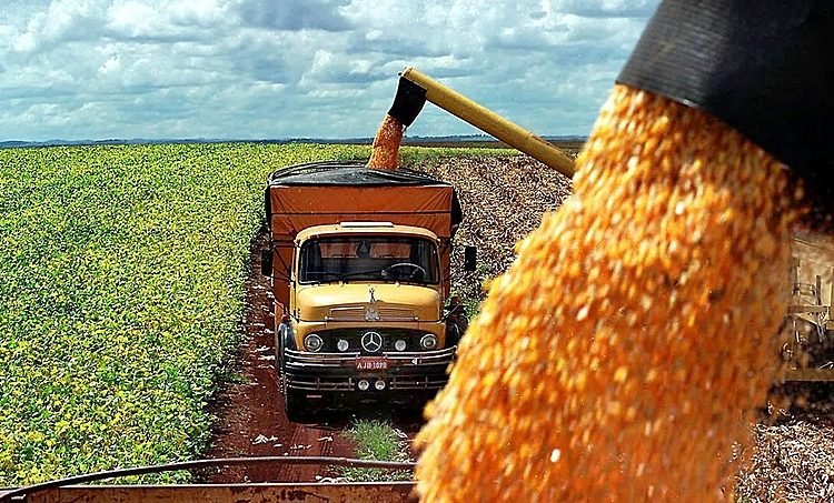 china-amplia-compras-de-soja-do-brasil-em-15%-e-reforca-virada-no-mercado