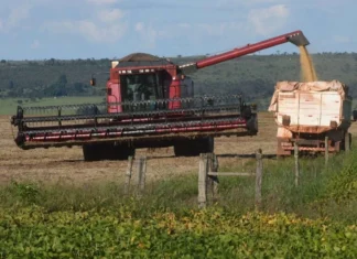 Brasil–China: parceria agrícola cresce com tecnologia e novos mercados brasil–china:-parceria-agricola-cresce-com-tecnologia-e-novos-mercados