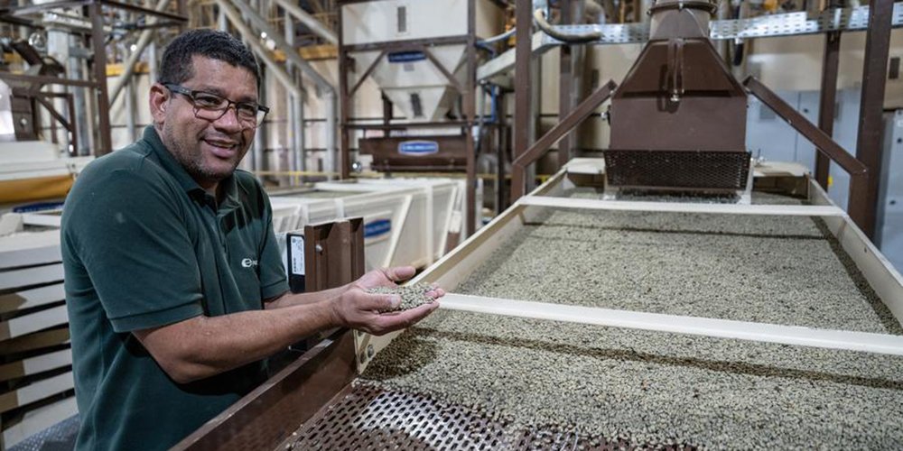 china-amplia-compra-de-cafe-brasileiro-em-2025-e-ajuda-a-compensar-perda-nos-eua