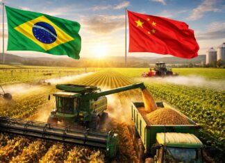 a-alianca-estrategica-brasil-china-na-seguranca-alimentar-global