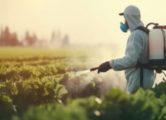 Brasil e China avançam em negociações fitossanitárias para fortalecer exportações do agro brasil-e-china-avancam-em-negociacoes-fitossanitarias-para-fortalecer-exportacoes-do-agro