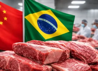 China já consome mais de 30% da cota de carne bovina brasileira e reforça ritmo das importações china-ja-consome-mais-de-30%-da-cota-de-carne-bovina-brasileira-e-reforca-ritmo-das-importacoes