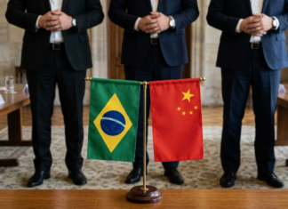 cooperacao-verde-entre-brasil-e-china-avanca,-mas-enfrenta-entraves-estruturais