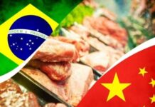 Exportações de carne para a China podem enfrentar vazio e pressionar arroba no Brasil exportacoes-de-carne-para-a-china-podem-enfrentar-vazio-e-pressionar-arroba-no-brasil