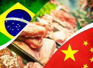 exportacoes-de-carne-para-a-china-podem-enfrentar-vazio-e-pressionar-arroba-no-brasil